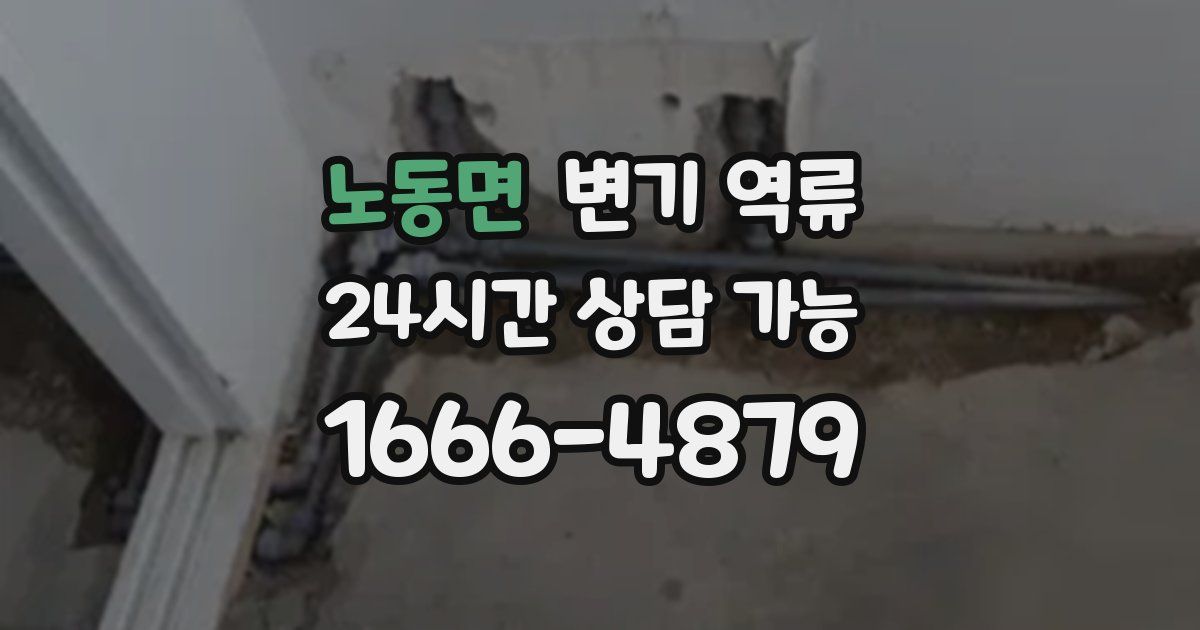 노동면 변기 역류