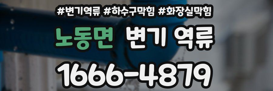 노동면 변기 역류