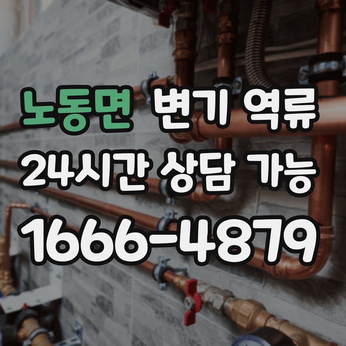 노동면 변기 역류