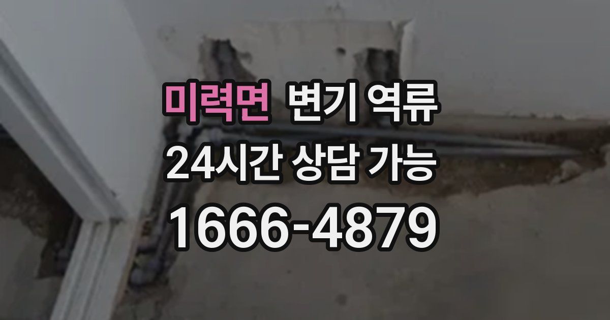 미력면 변기 역류