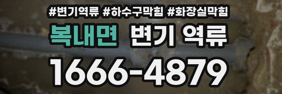 복내면 변기 역류