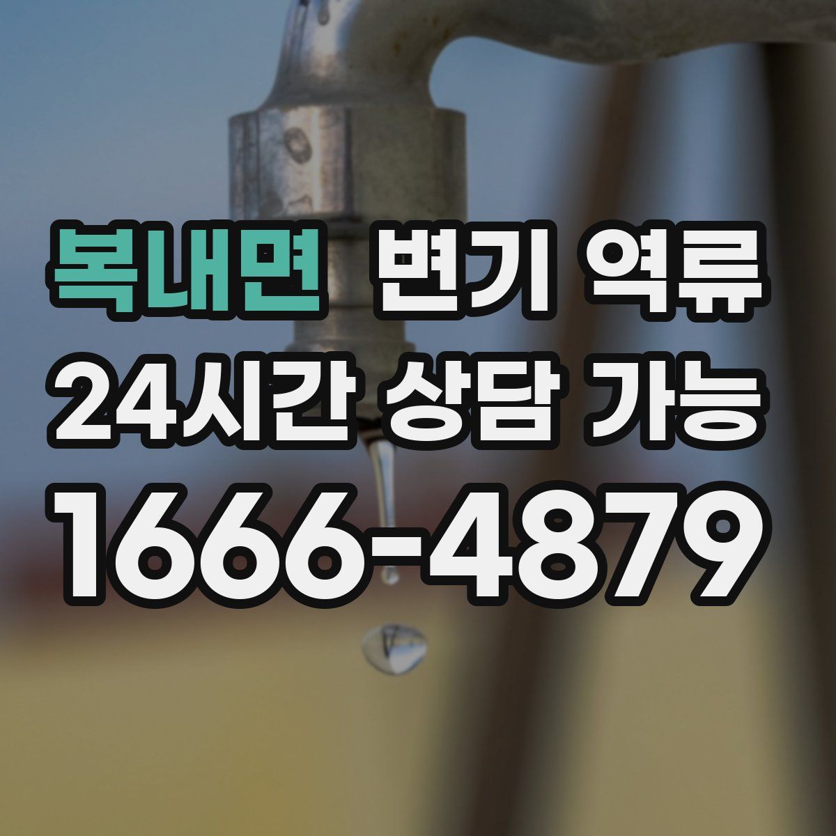 복내면 변기 역류