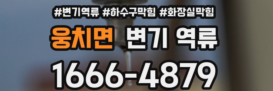 웅치면 변기 역류