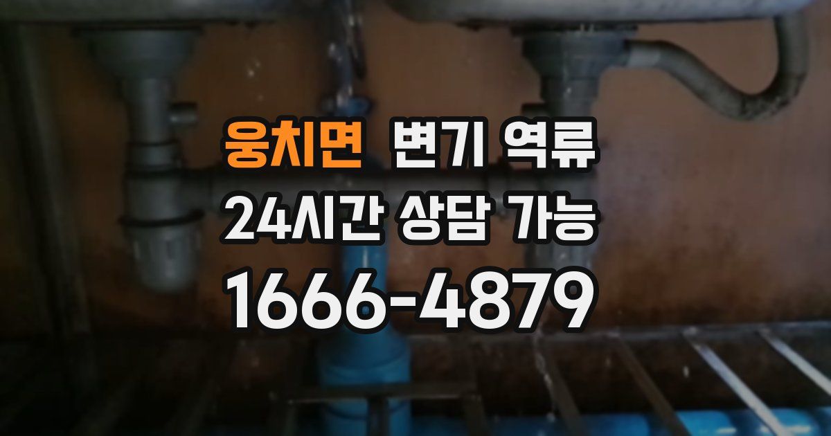 웅치면 변기 역류