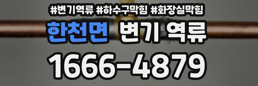 한천면 변기 역류