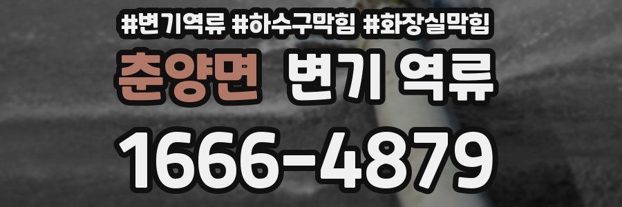 춘양면 변기 역류