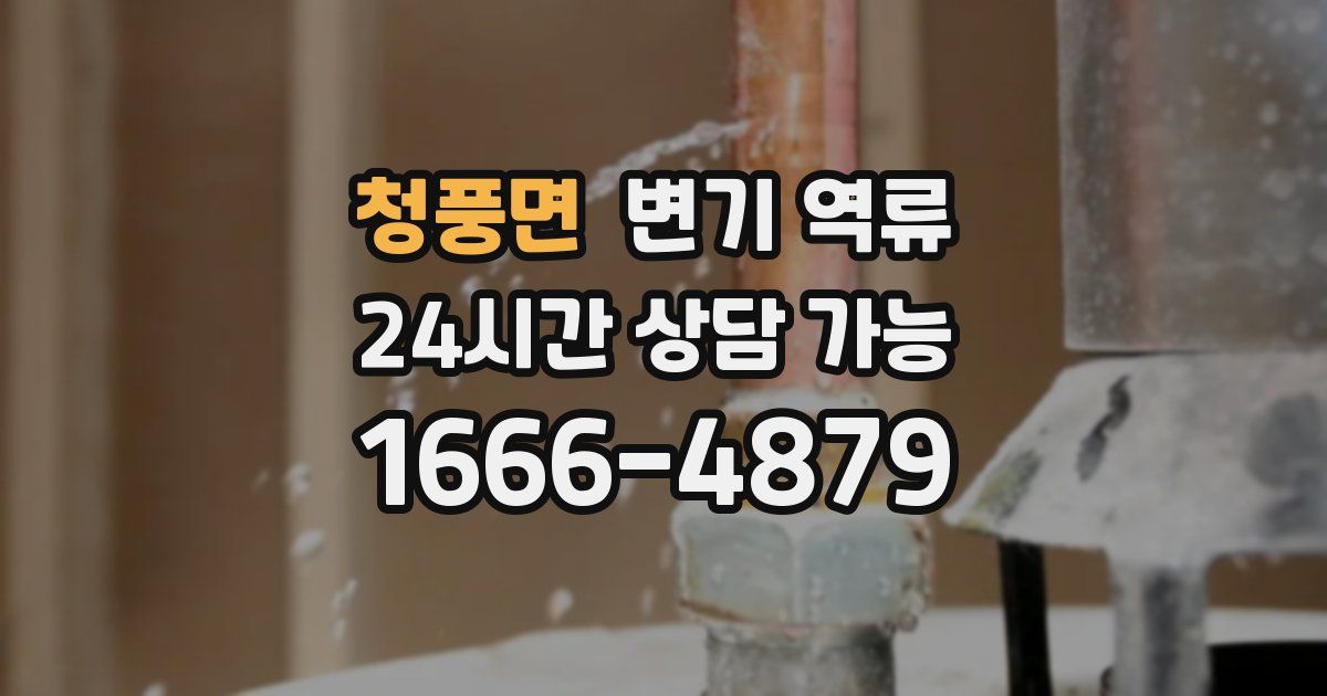 청풍면 변기 역류