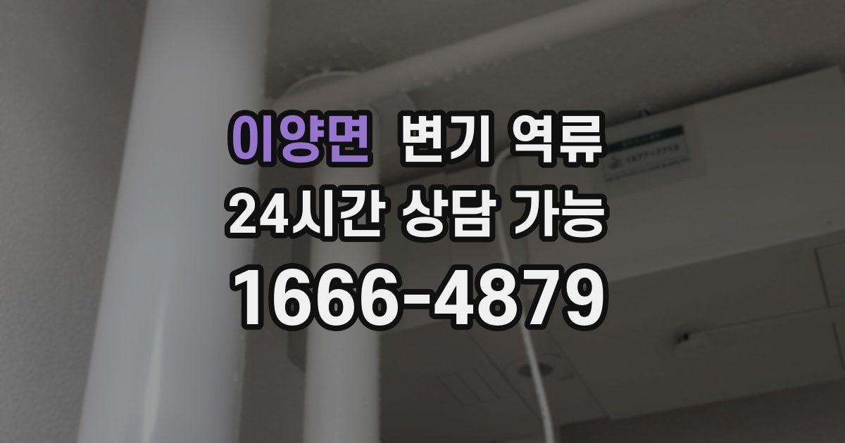 이양면 변기 역류