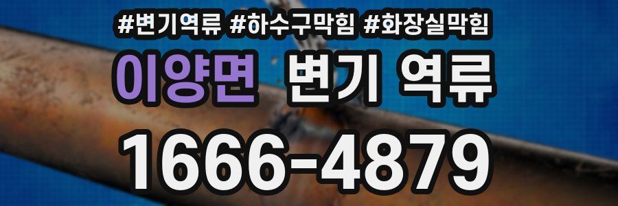 이양면 변기 역류