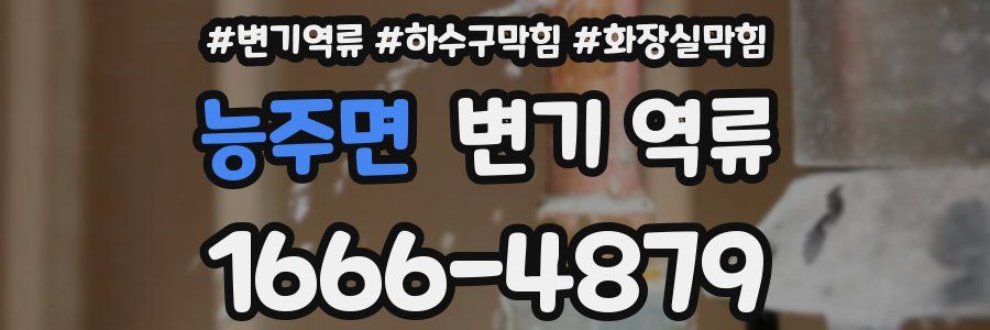 능주면 변기 역류