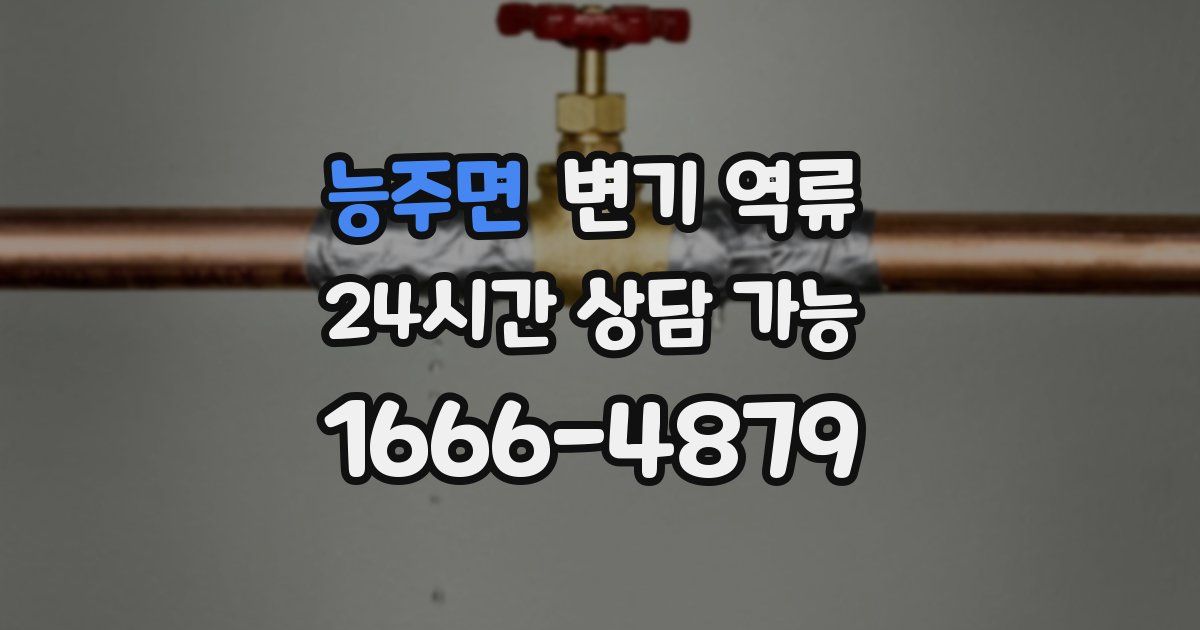 능주면 변기 역류