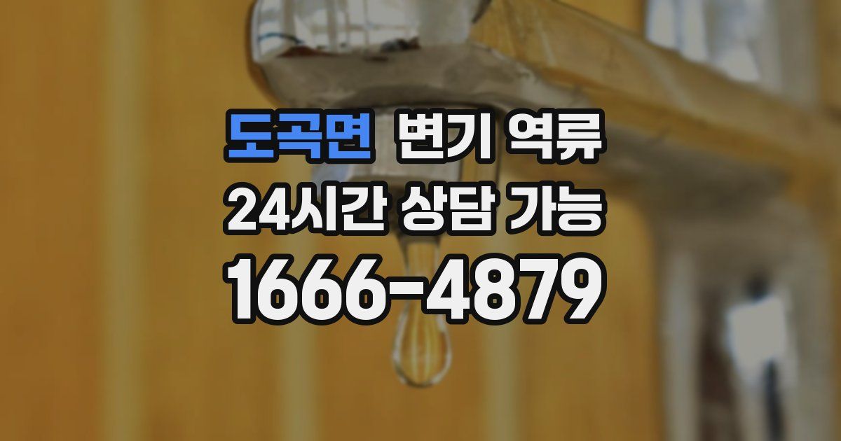 도곡면 변기 역류