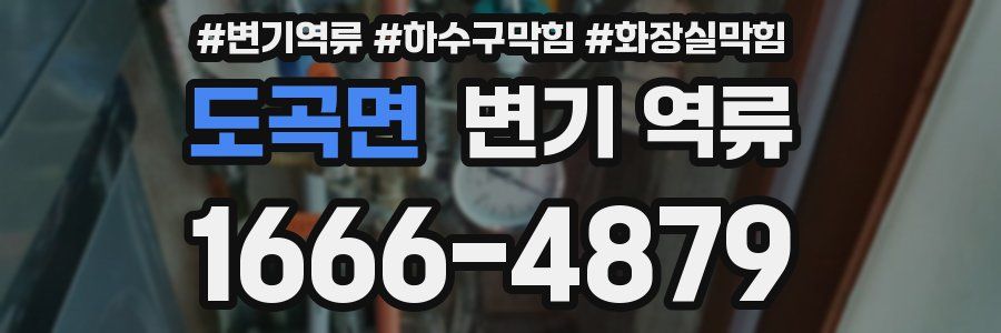 도곡면 변기 역류