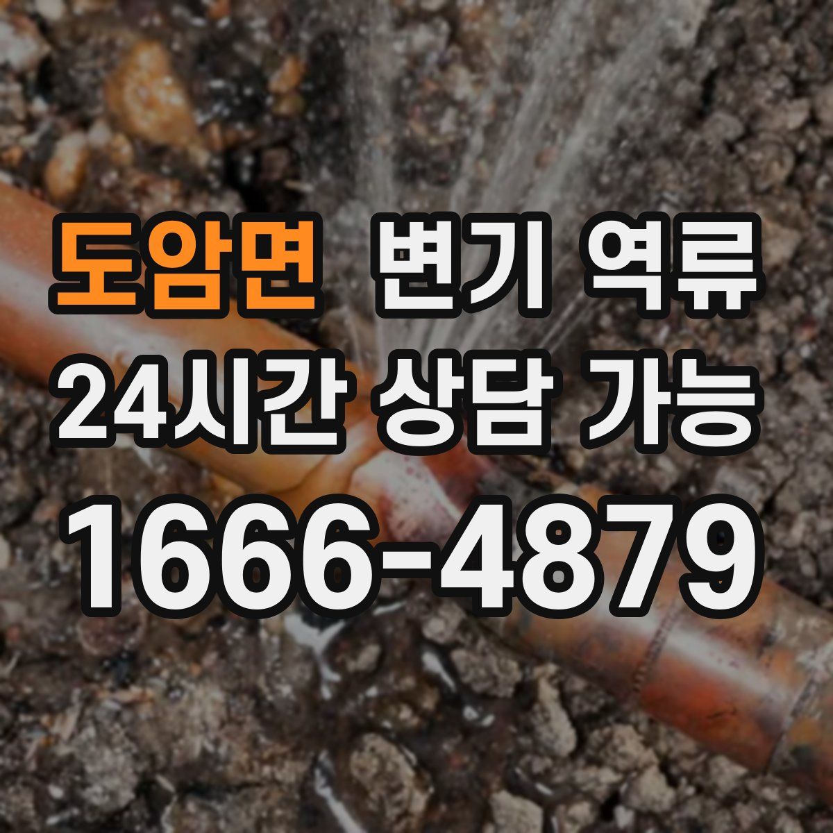 도암면 변기 역류