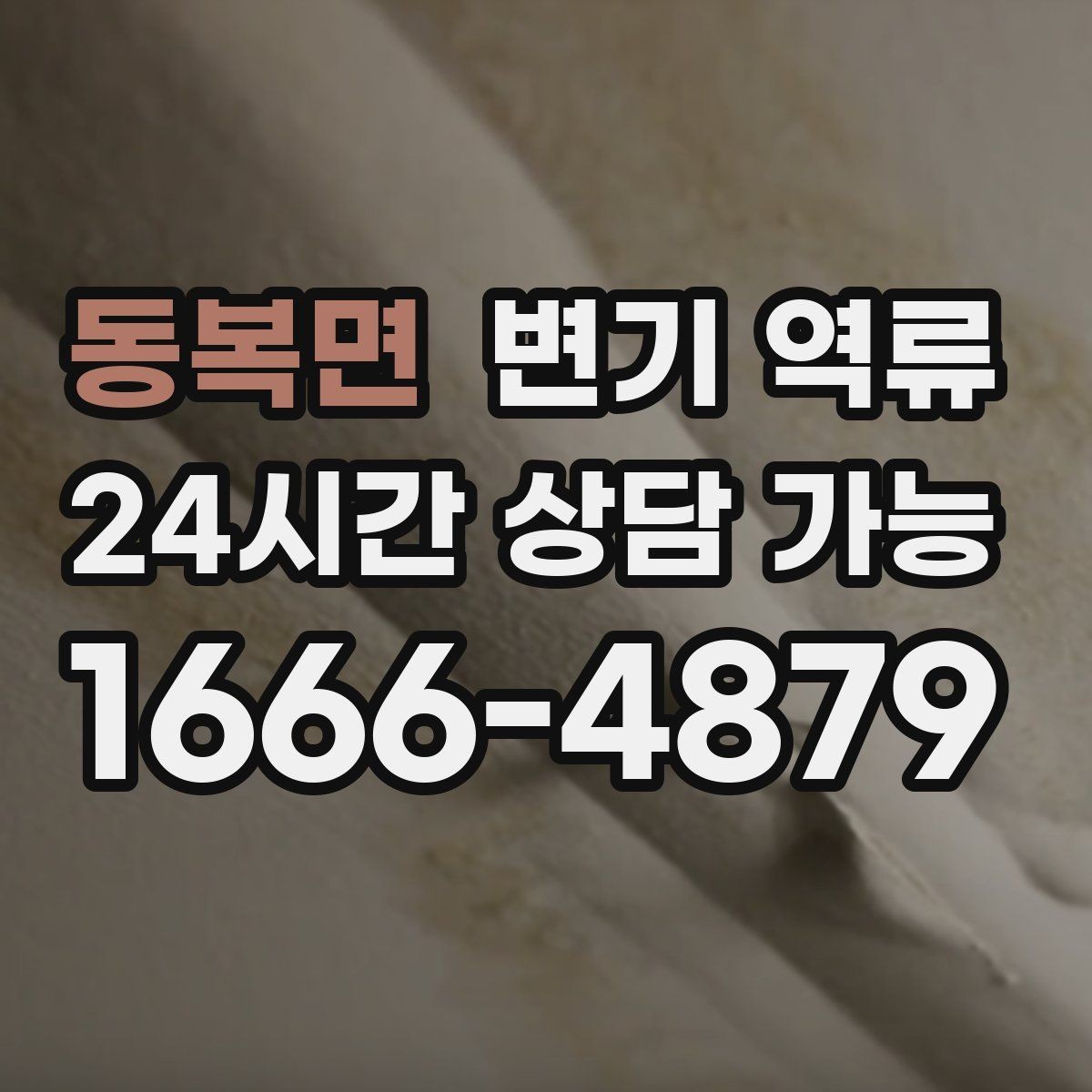 동복면 변기 역류 우리 집만 역류하면 먼저 확인할 포인트