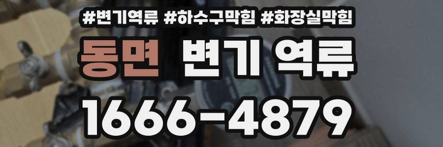 동면 변기 역류