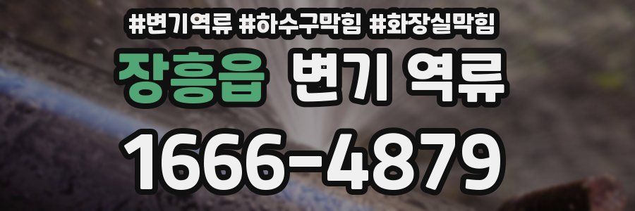 장흥읍 변기 역류