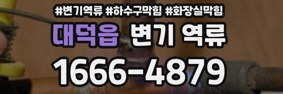 대덕읍 변기 역류