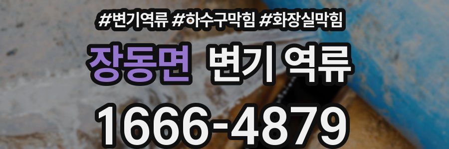 장동면 변기 역류