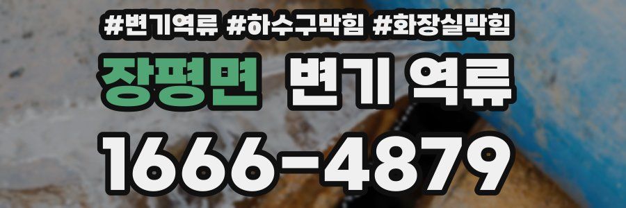 장평면 변기 역류