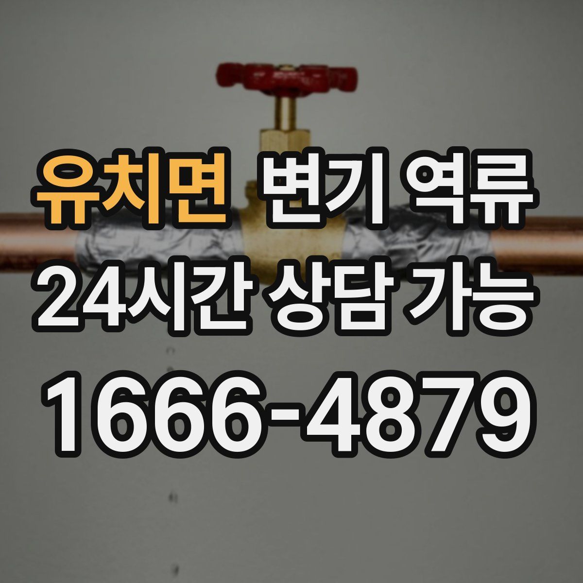 유치면 변기 역류