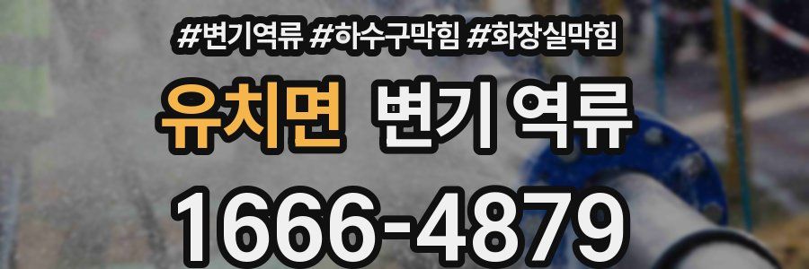 유치면 변기 역류