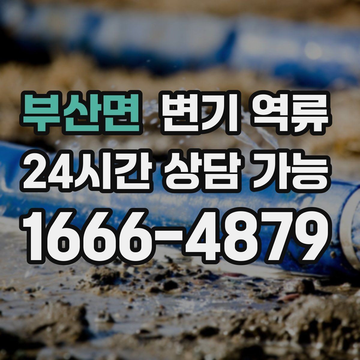 부산면 변기 역류 음식점 화장실에서 생기는 막힘 변기 역류 원인