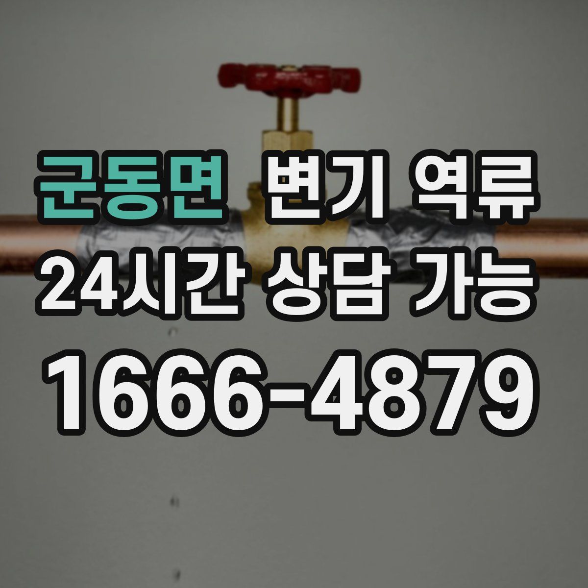 군동면 변기 역류