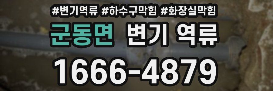 군동면 변기 역류