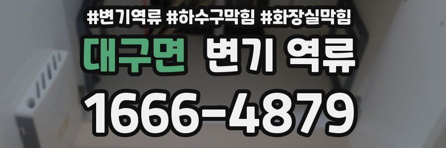 대구면 변기 역류