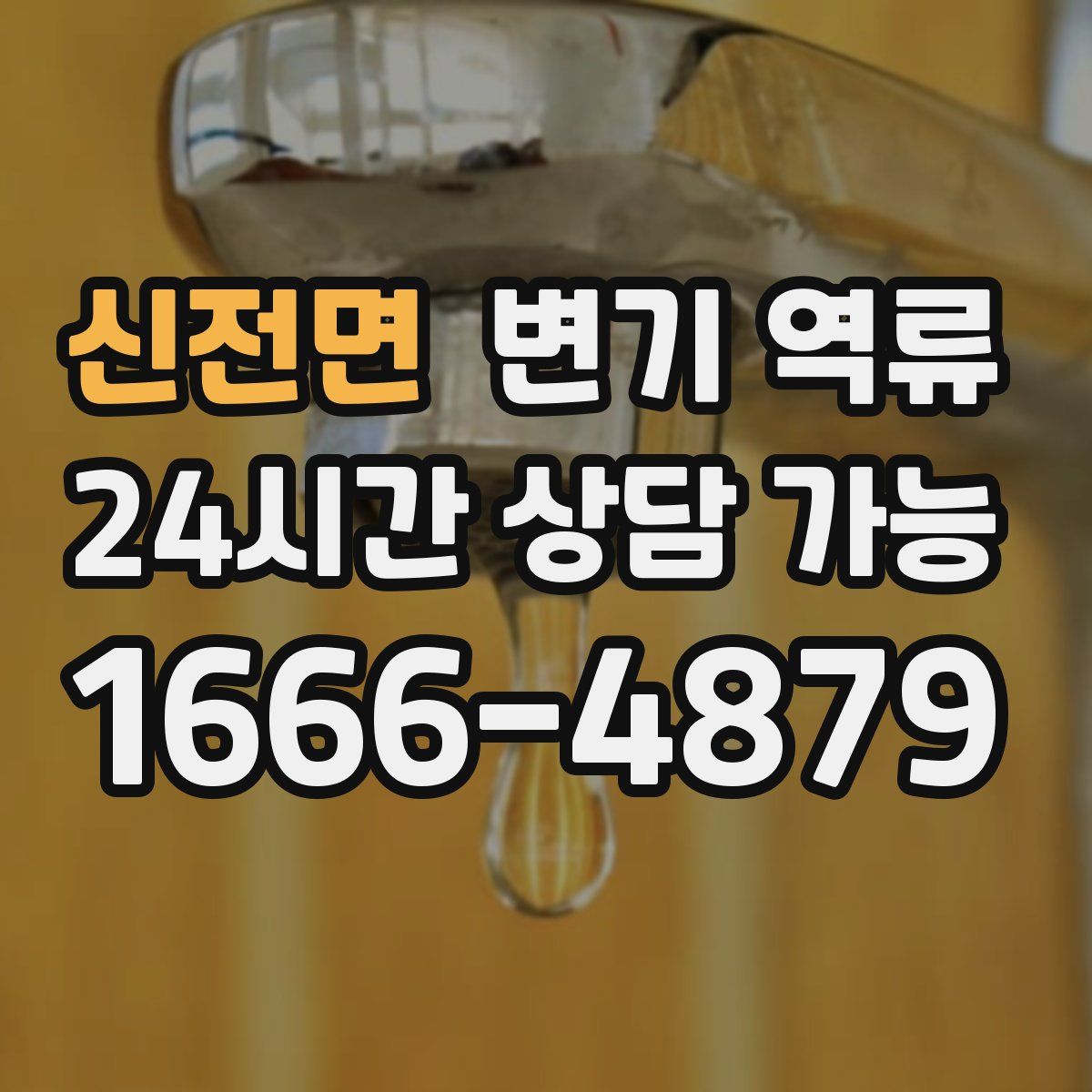 신전면 변기 역류