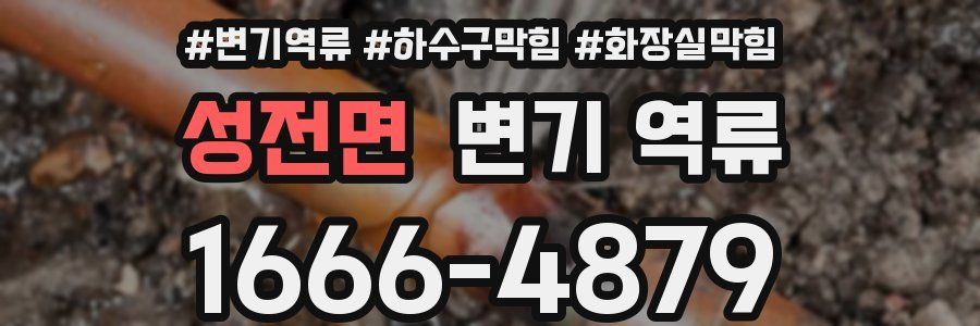 성전면 변기 역류