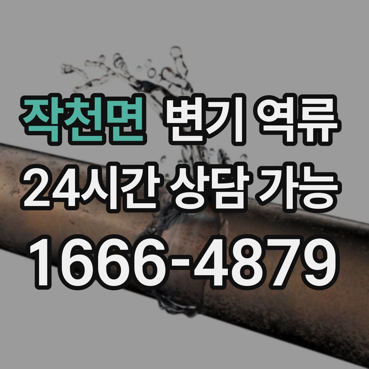 작천면 변기 역류