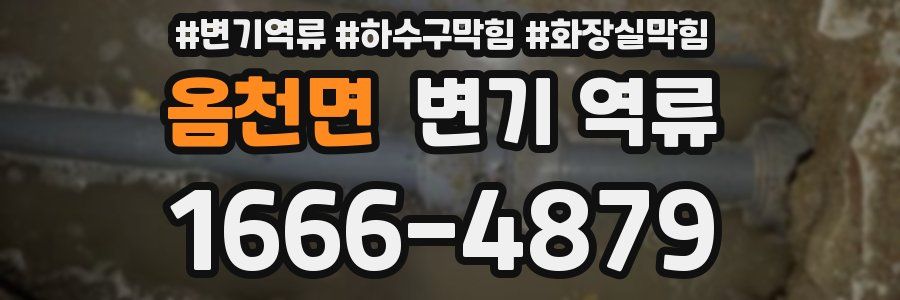 옴천면 변기 역류