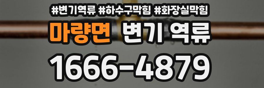 마량면 변기 역류