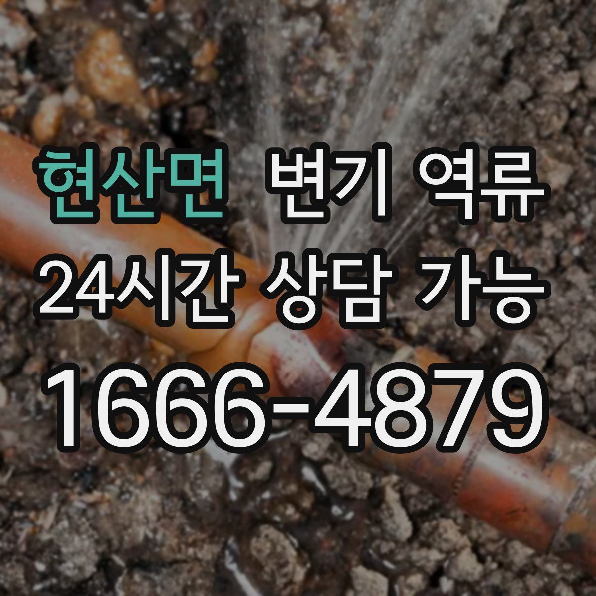 현산면 변기 역류