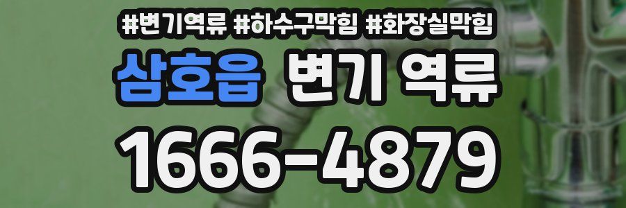 삼호읍 변기 역류