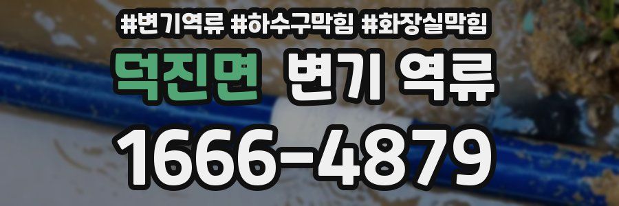 덕진면 변기 역류