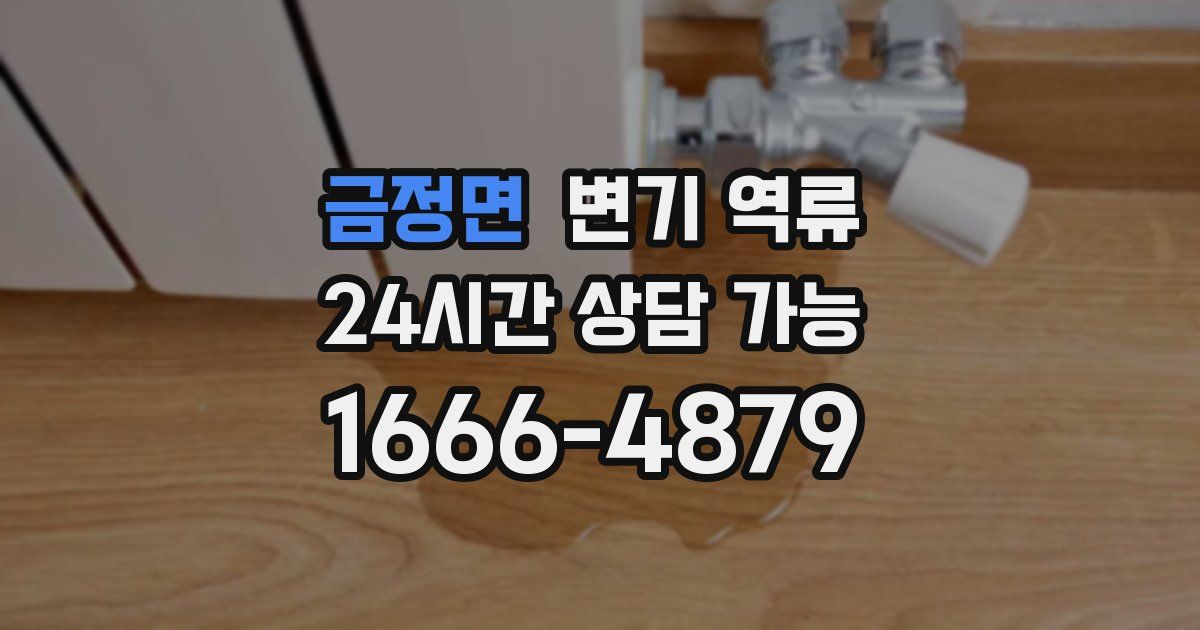 금정면 변기 역류