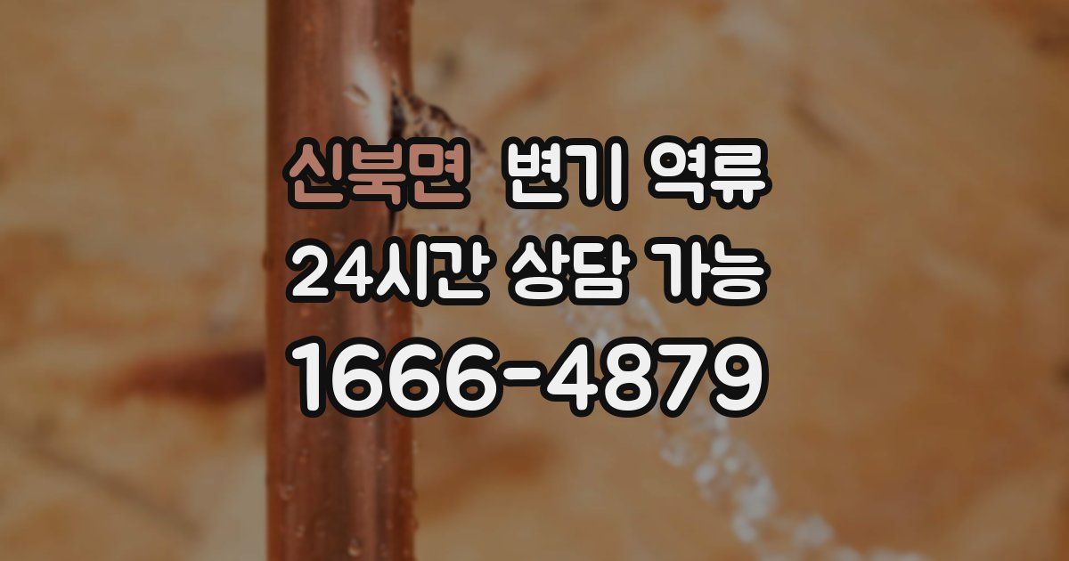 신북면 변기 역류