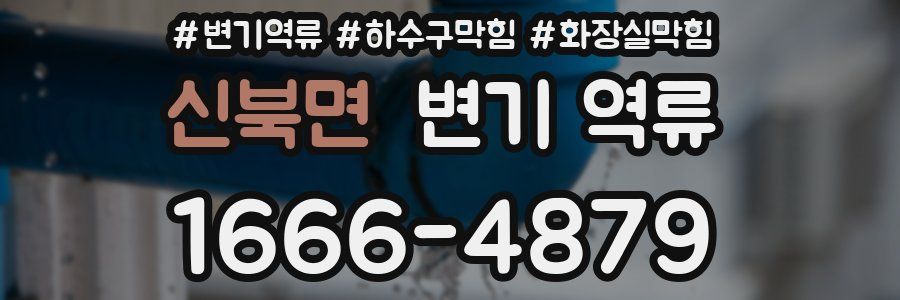 신북면 변기 역류