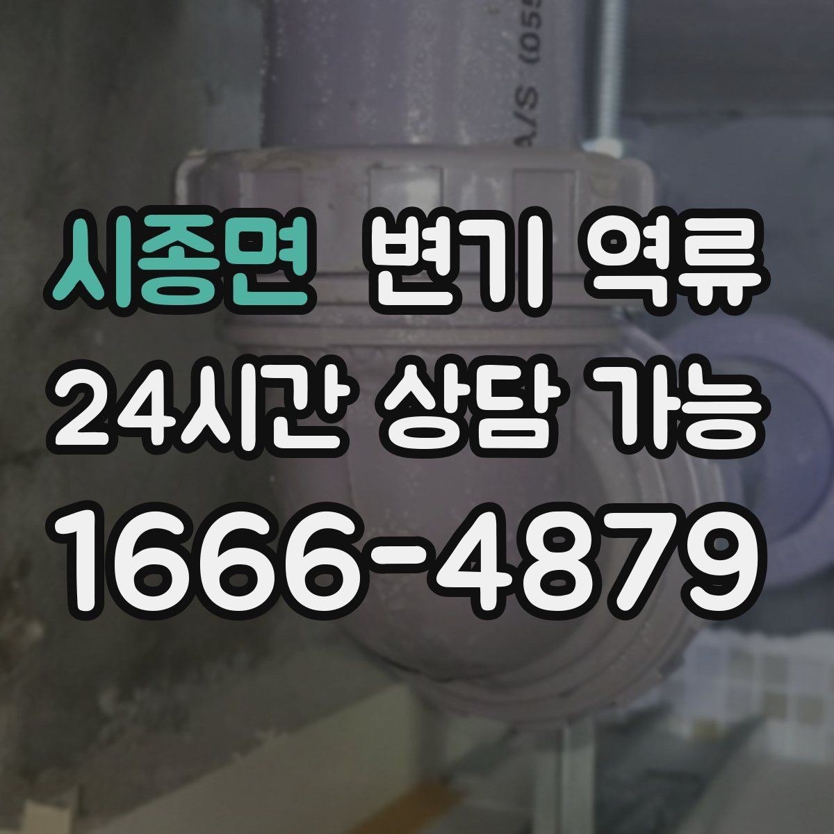 시종면 변기 역류 한 세대만 발생할 때와 여러 세대 발생할 때 차이
