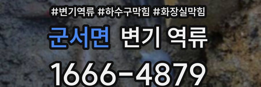 군서면 변기 역류