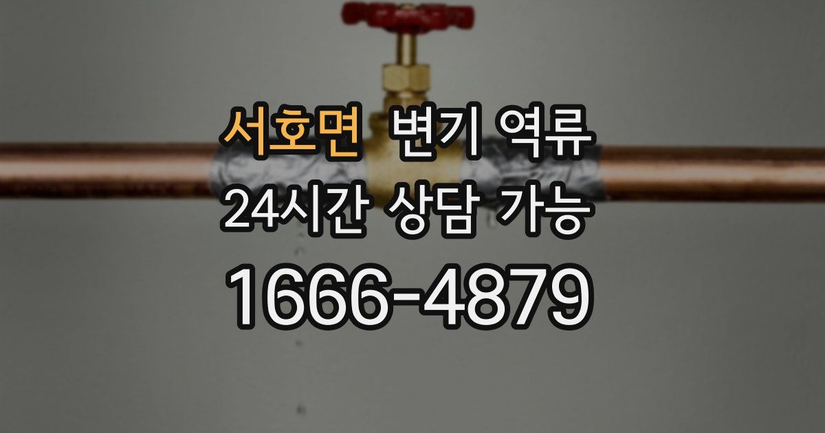 서호면 변기 역류