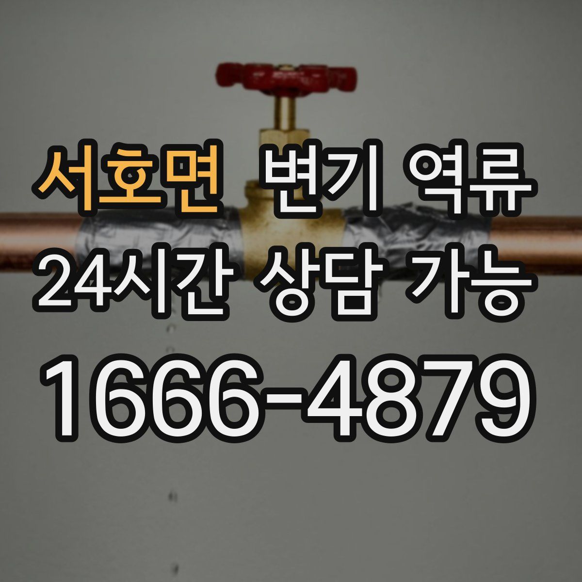 서호면 변기 역류