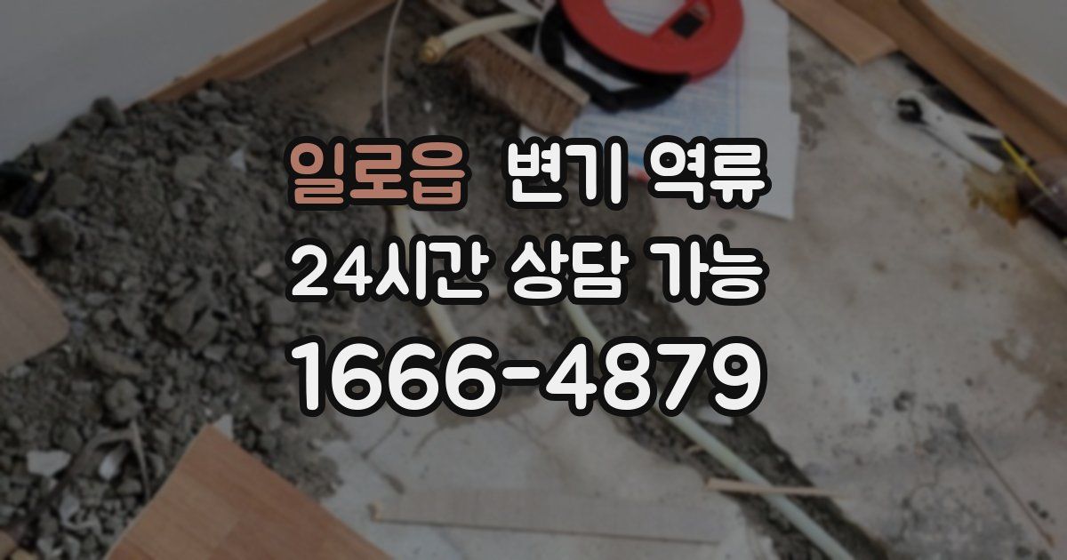 일로읍 변기 역류