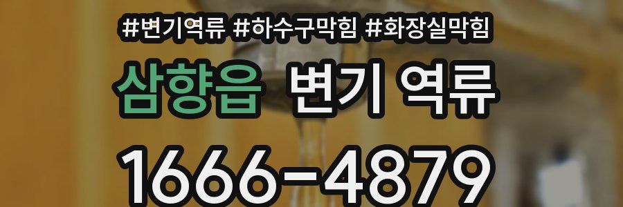 삼향읍 변기 역류