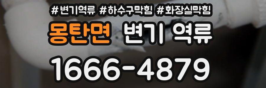 몽탄면 변기 역류