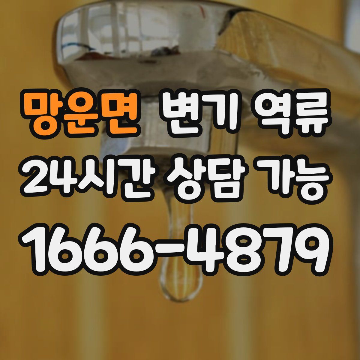 망운면 변기 역류