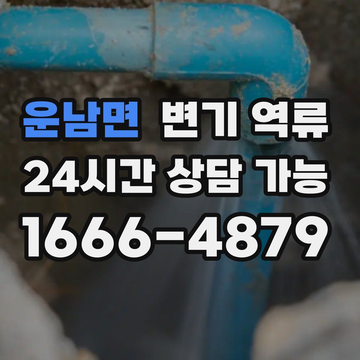 운남면 변기 역류